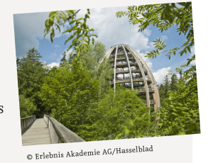 Lesetetxt A1 msn-aktuell T45_Baumkronenpfade1