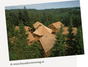 Lesetetxt A1 msn-aktuell T45_Baumkronenpfade3